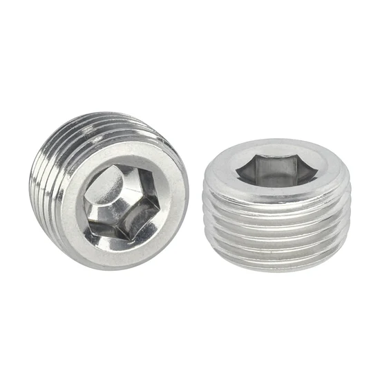 PT 3/8-19*10 Threaded Plugs 304 Stainless Steel DIN906 (250pcs/Pkg)