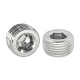 PT 3/8-19*10 Threaded Plugs 304 Stainless Steel DIN906 (250pcs/Pkg)